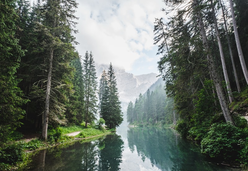 For the nature