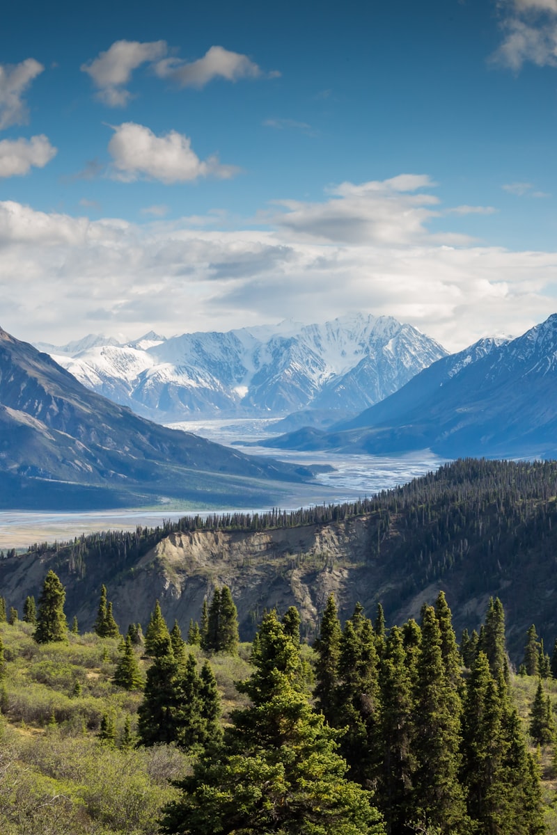 Pristine Surroundings